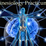 Kineziologiya-praktikum-1024x683
